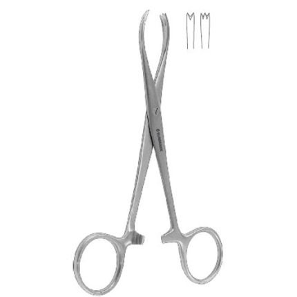 Chaput haemostatic forcep 2 x 3 teeth 12.5 cm stainless steel.